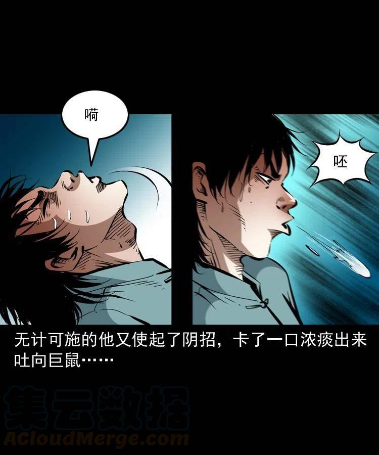 一百二十七话 火烧老鼠城21