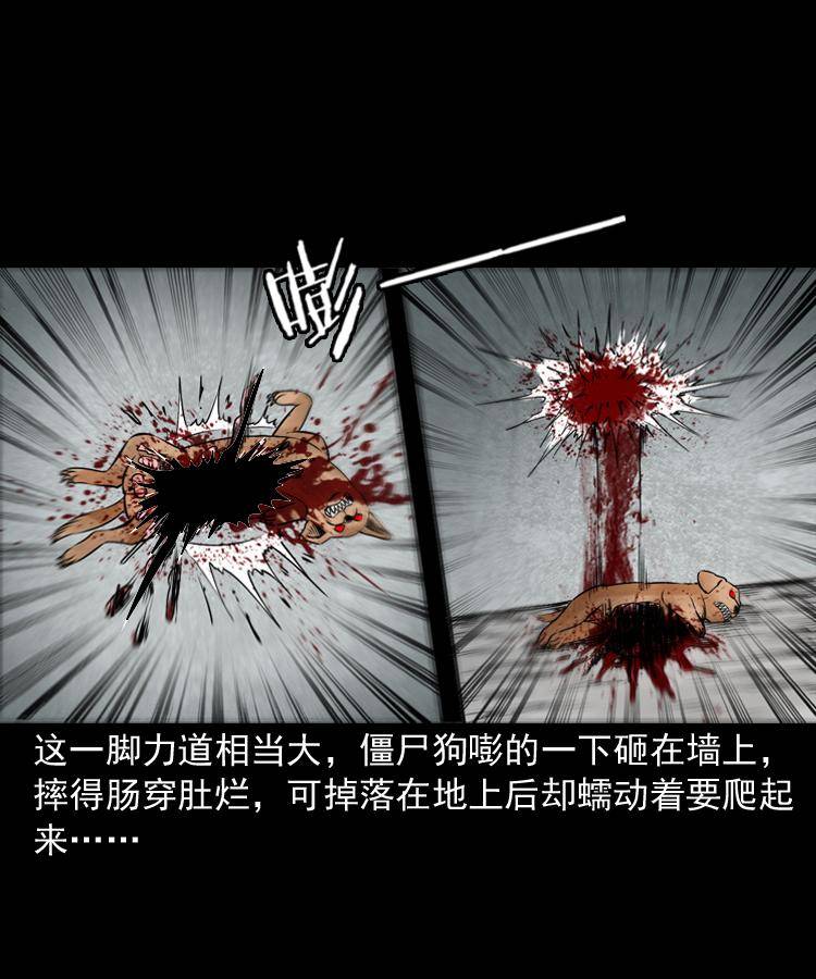 第十七话 青囊尸典51