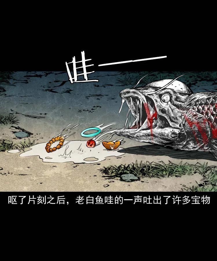 四十五话 老鱼献宝14