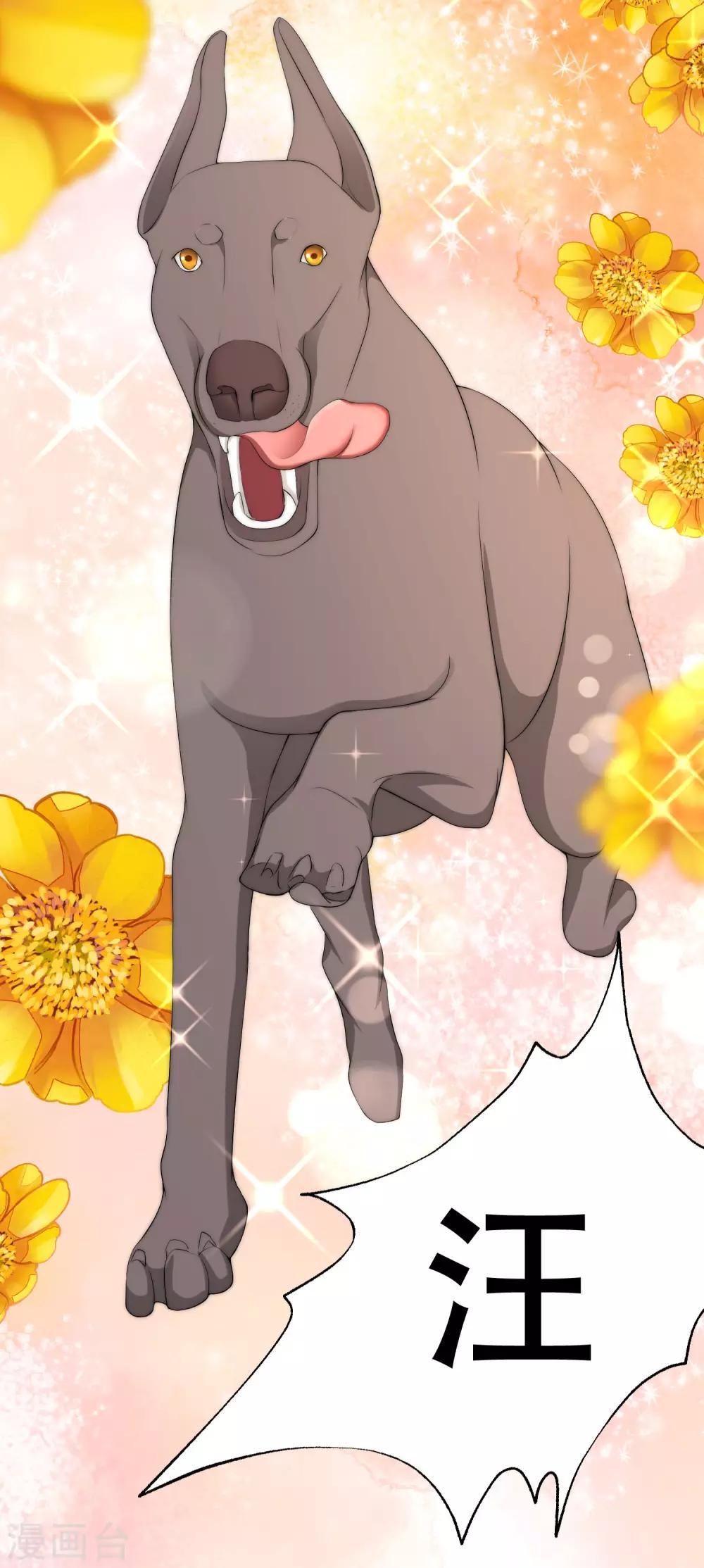 第244话 虐渣姐妹又要登场了！12
