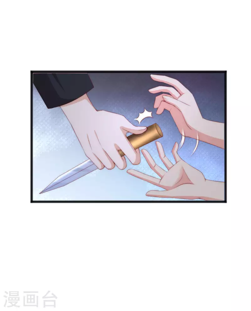 第295话 沈姨最后的决定13