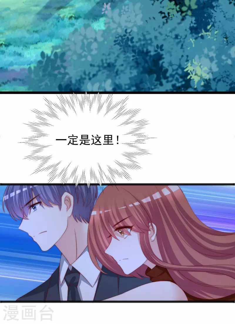 第295话 沈姨最后的决定2