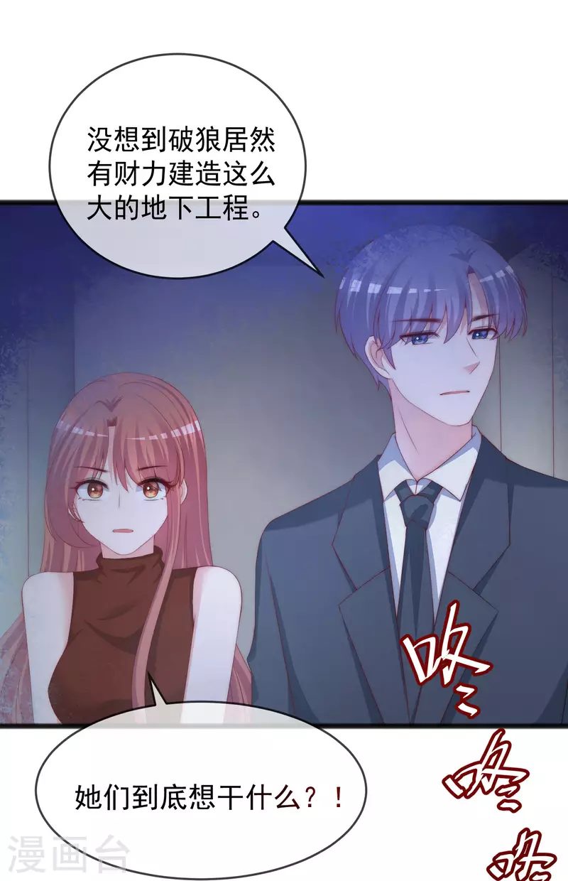 第295话 沈姨最后的决定20