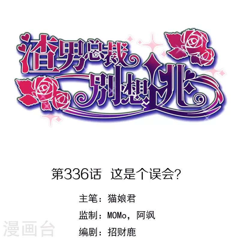 第336话这是个误会？0