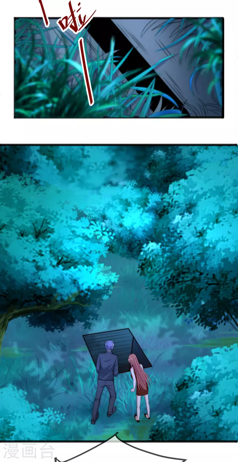 第295话 沈姨最后的决定6