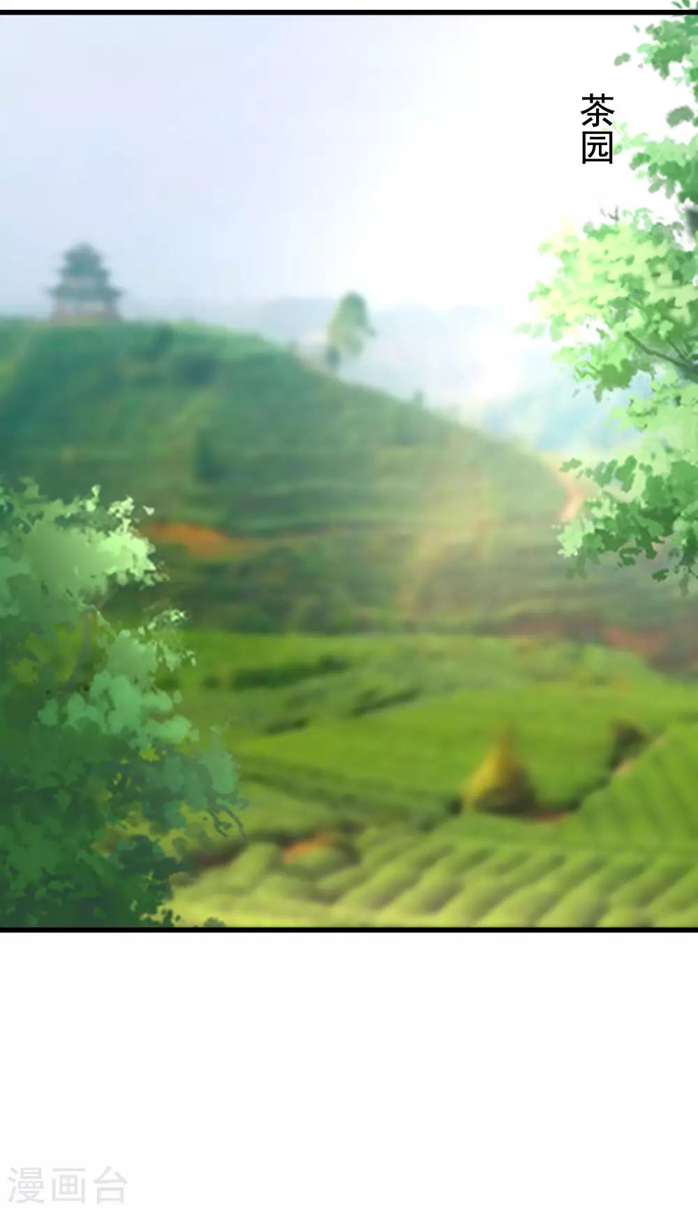 第145话 是采茶还是约会？！79