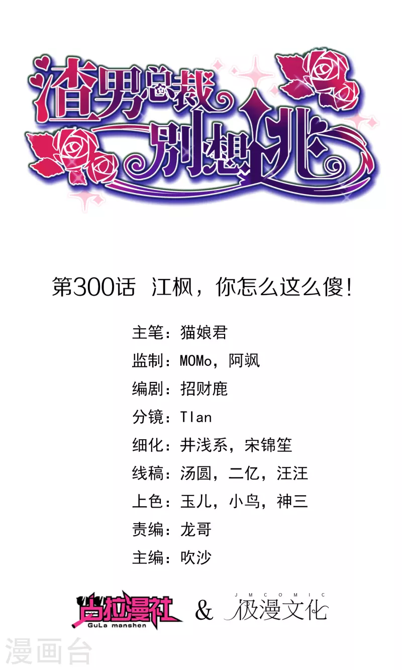 第300话 江枫，你怎么这么傻！0