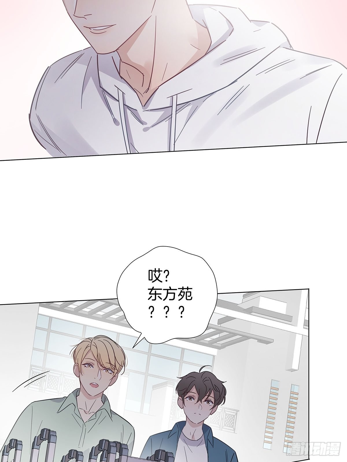 73为你做的决定19