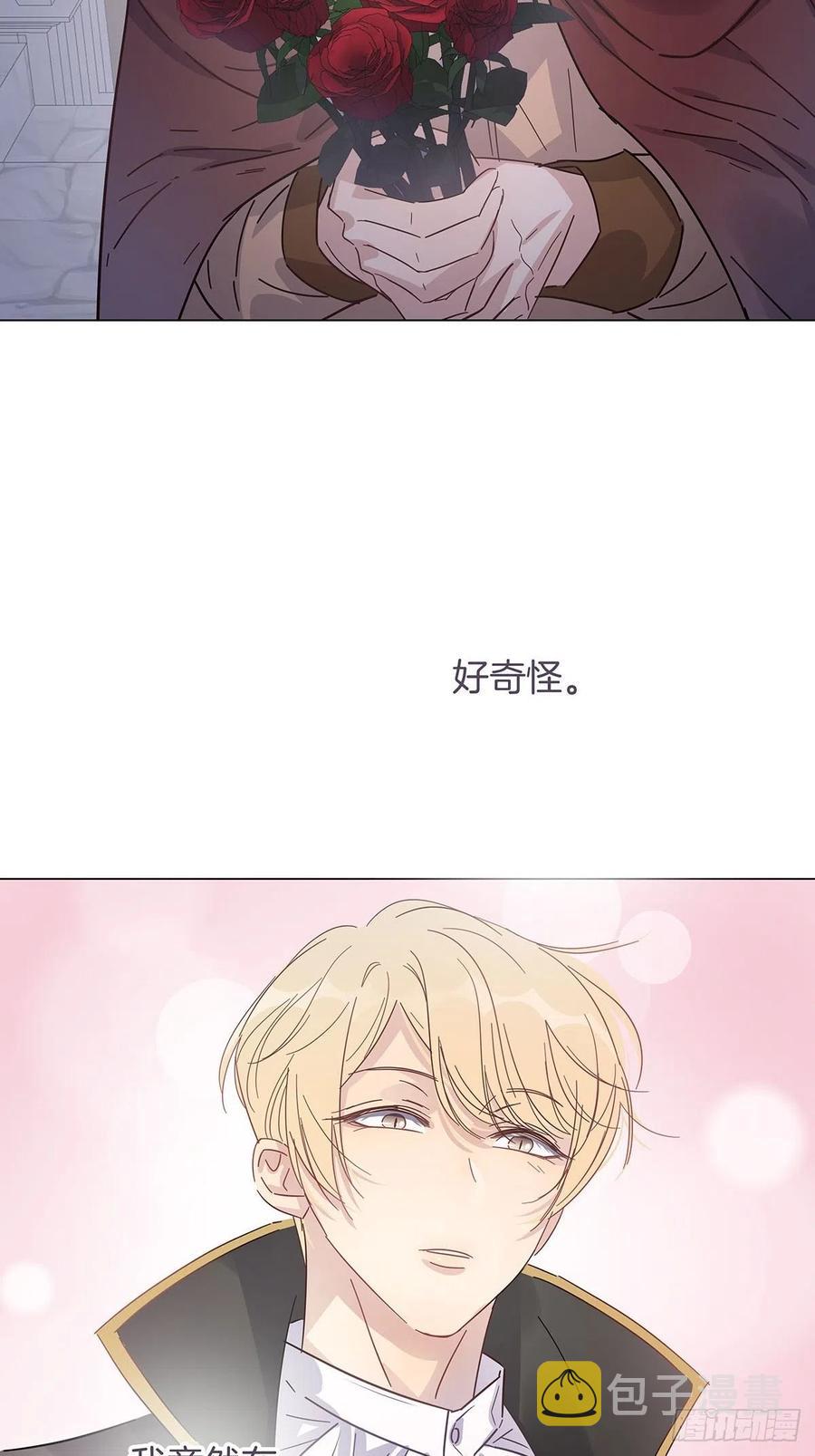 番外6 吸血鬼的玫瑰35