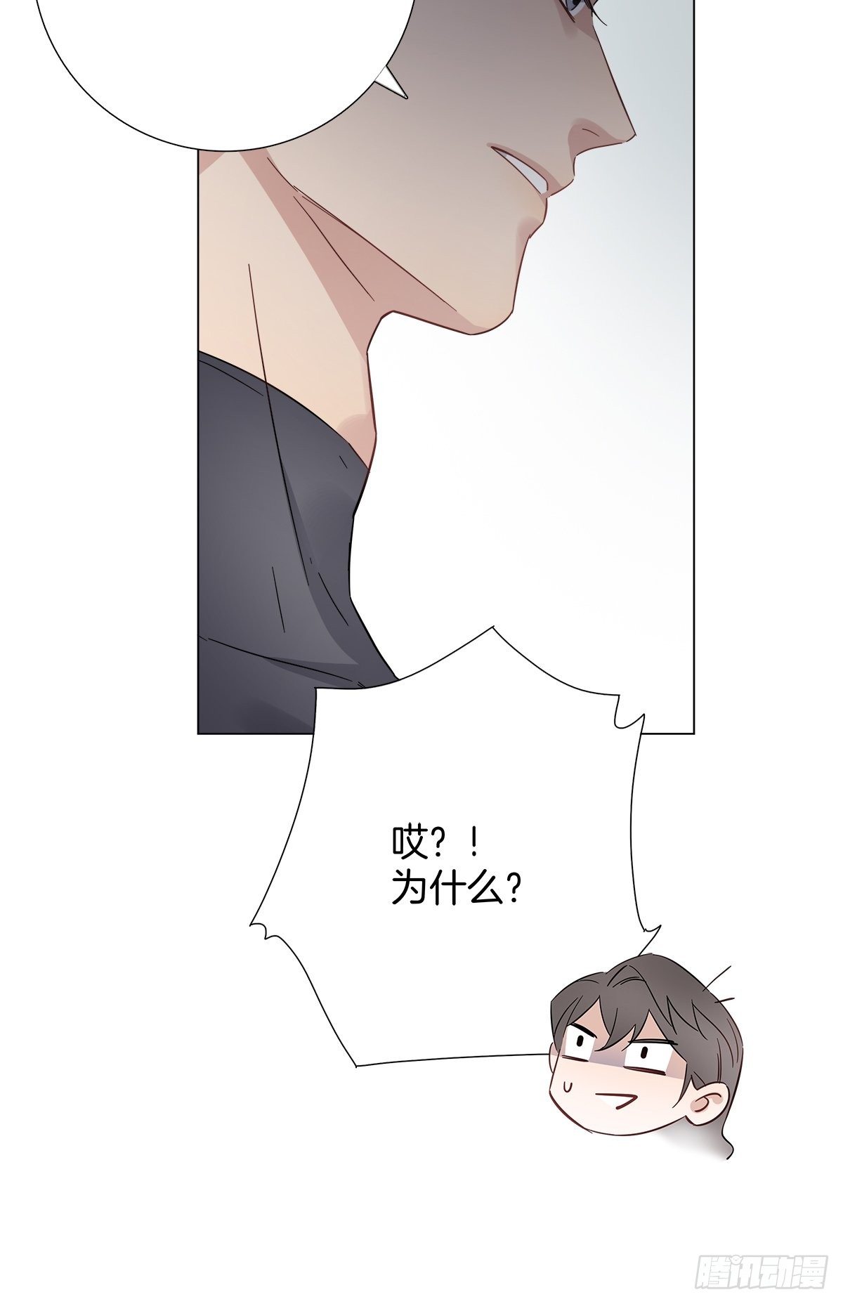 12 保护他21