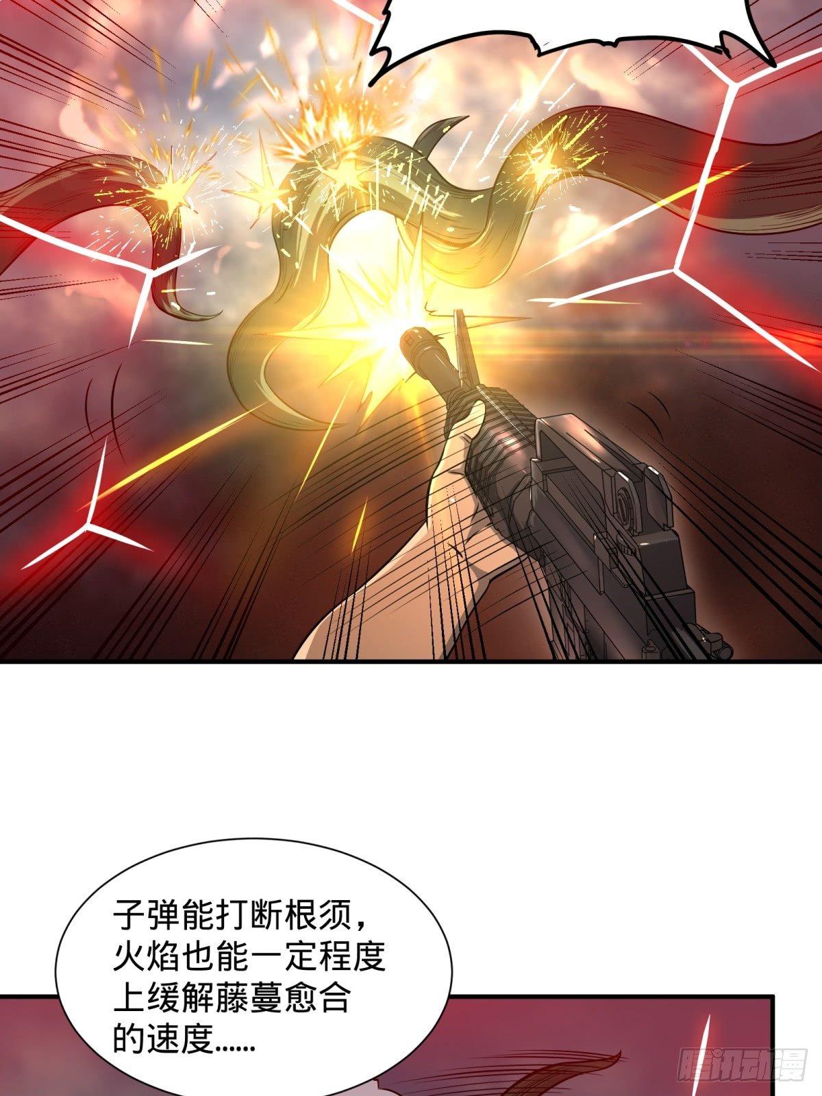 看看这阵容，我们赢定了24