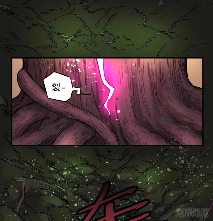 树14