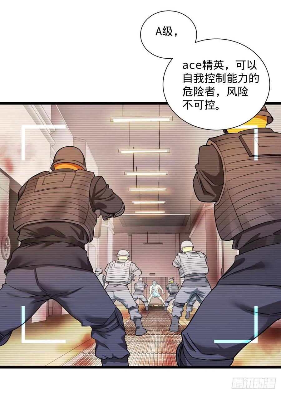 能力的等级13