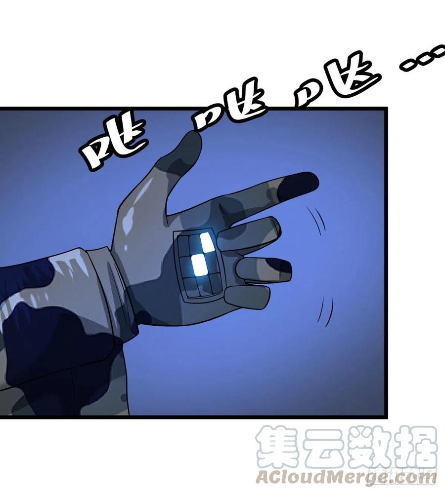 虎鹤双形拳8