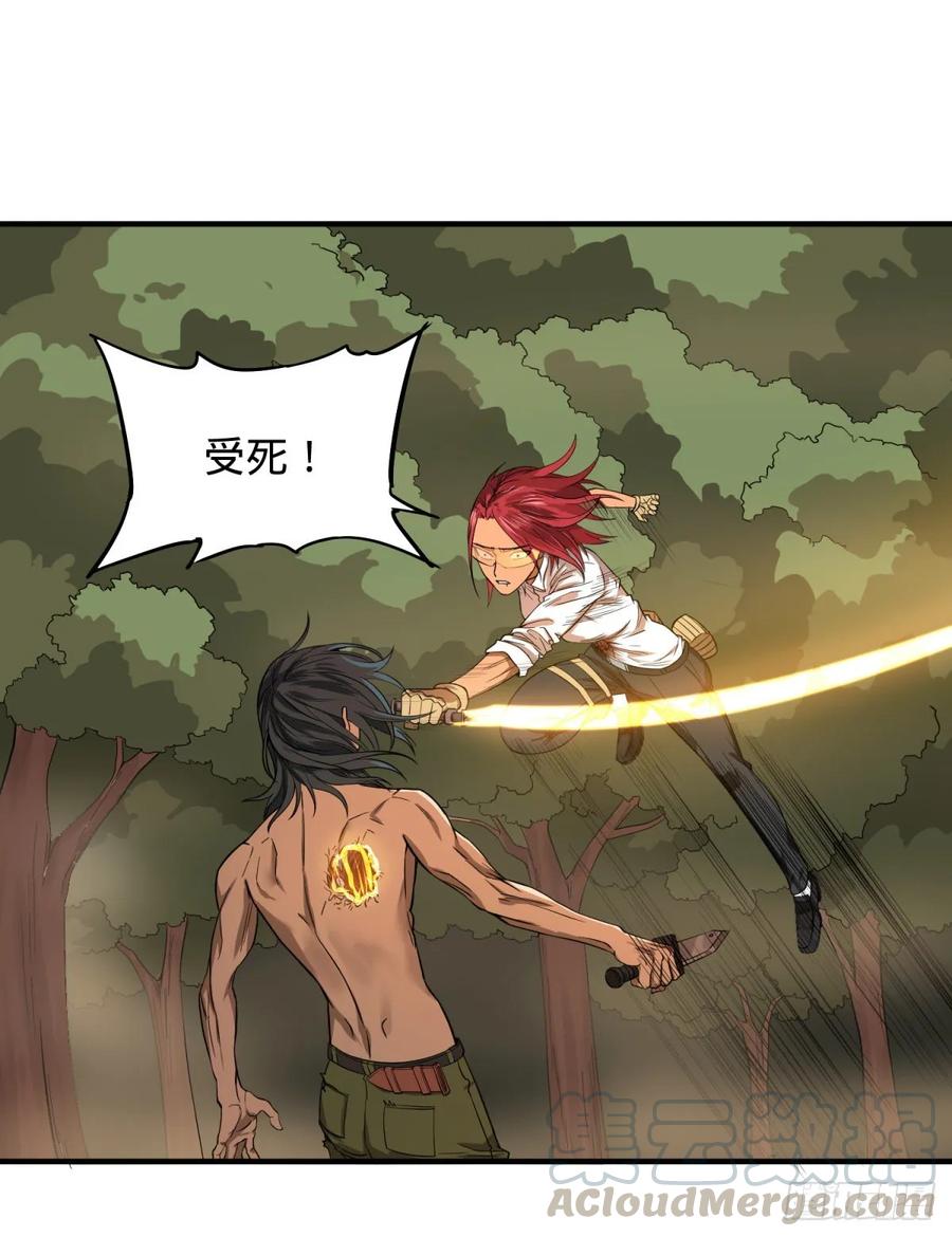 巴西柔术0