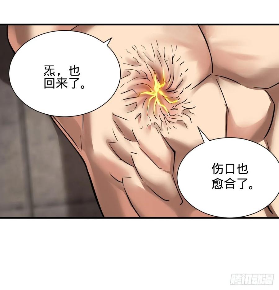 巴西柔术31
