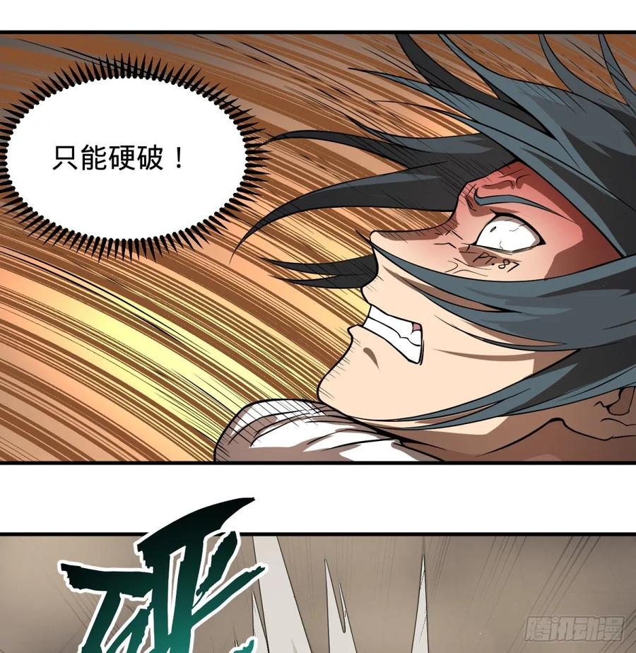 巴西柔术14