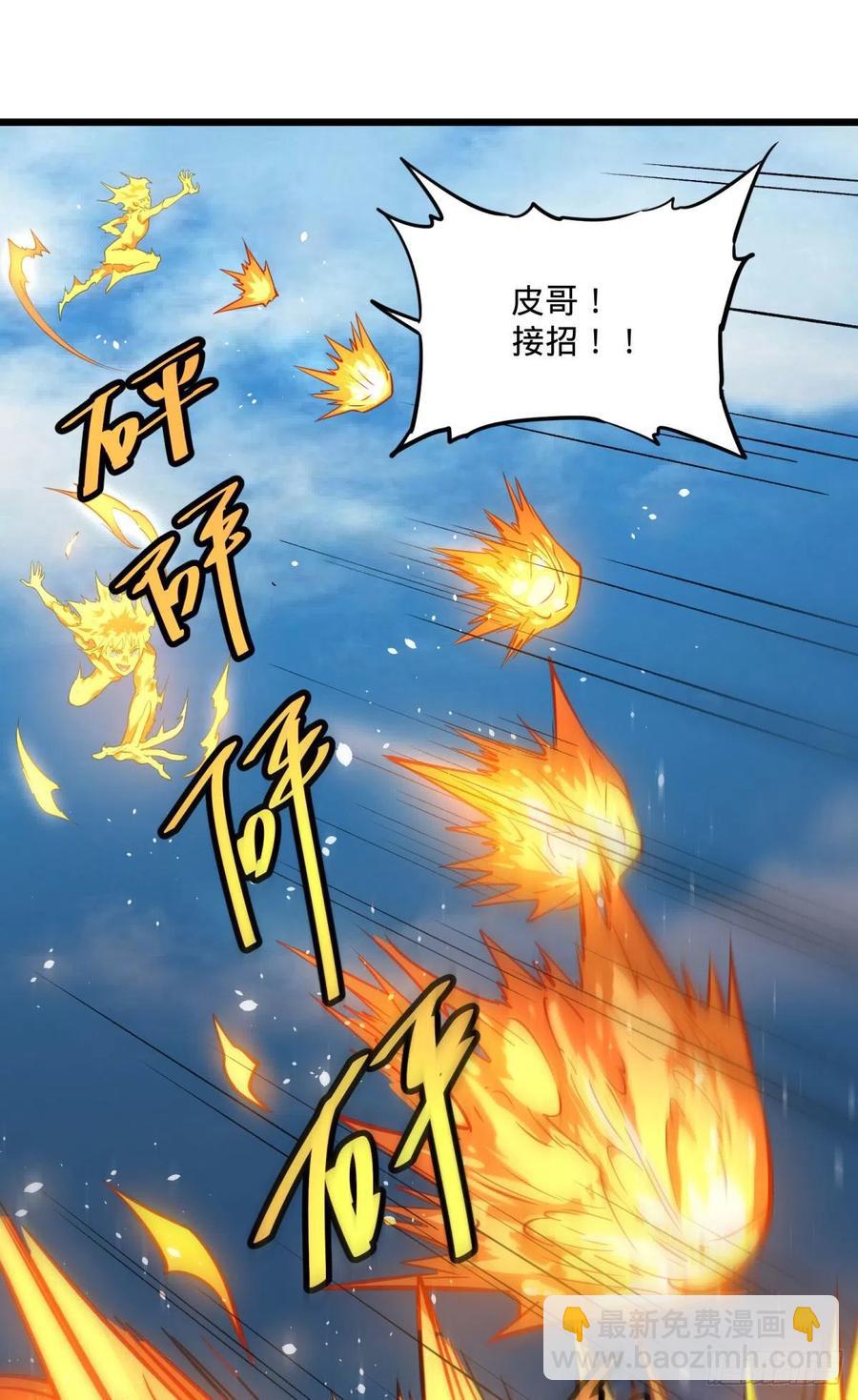 SAF内部资料9