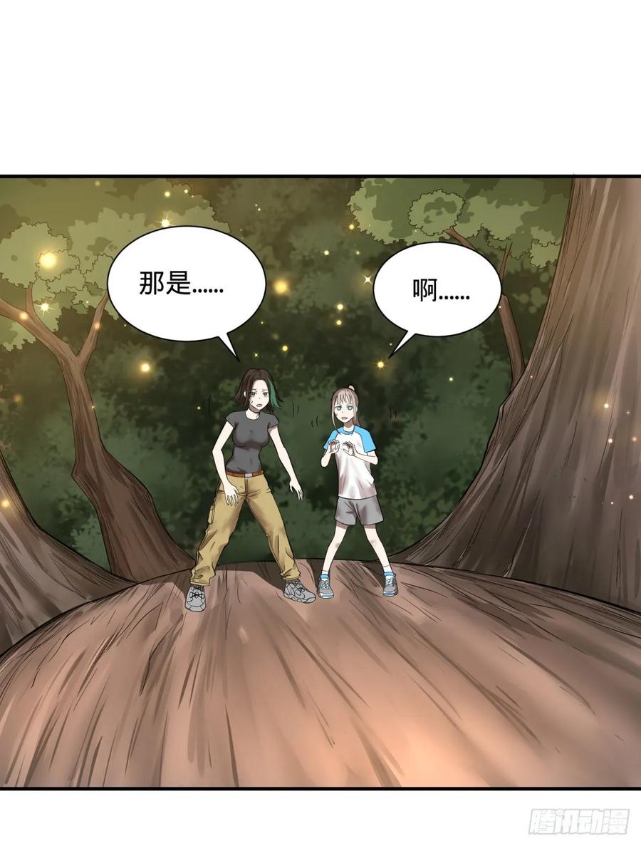 本体13