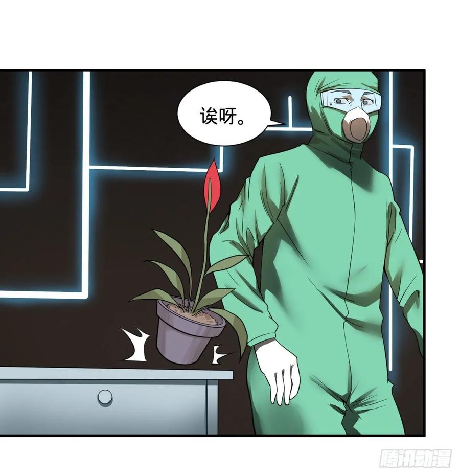 树37