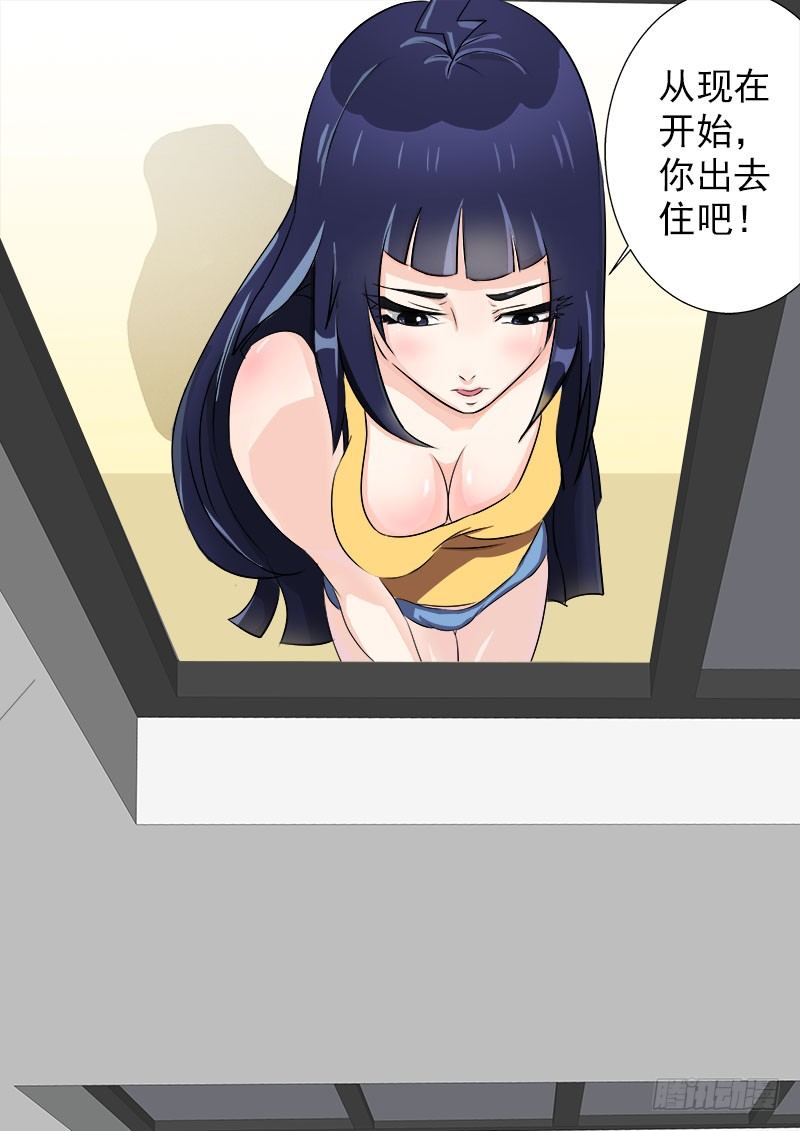 015 鸠占鹊巢1