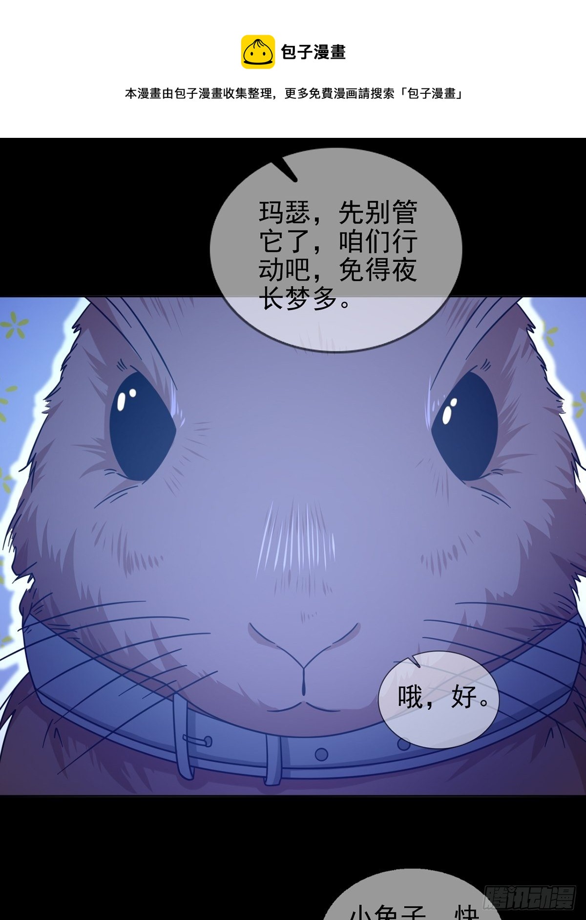 068 哪里来的兔子36