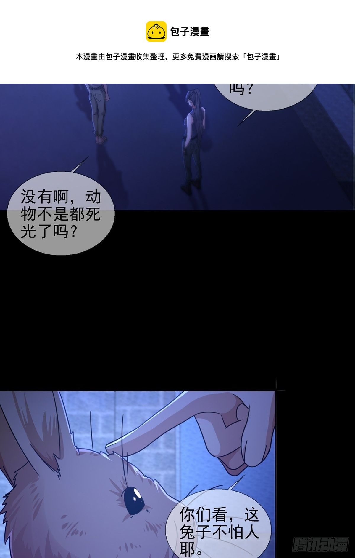 068 哪里来的兔子32