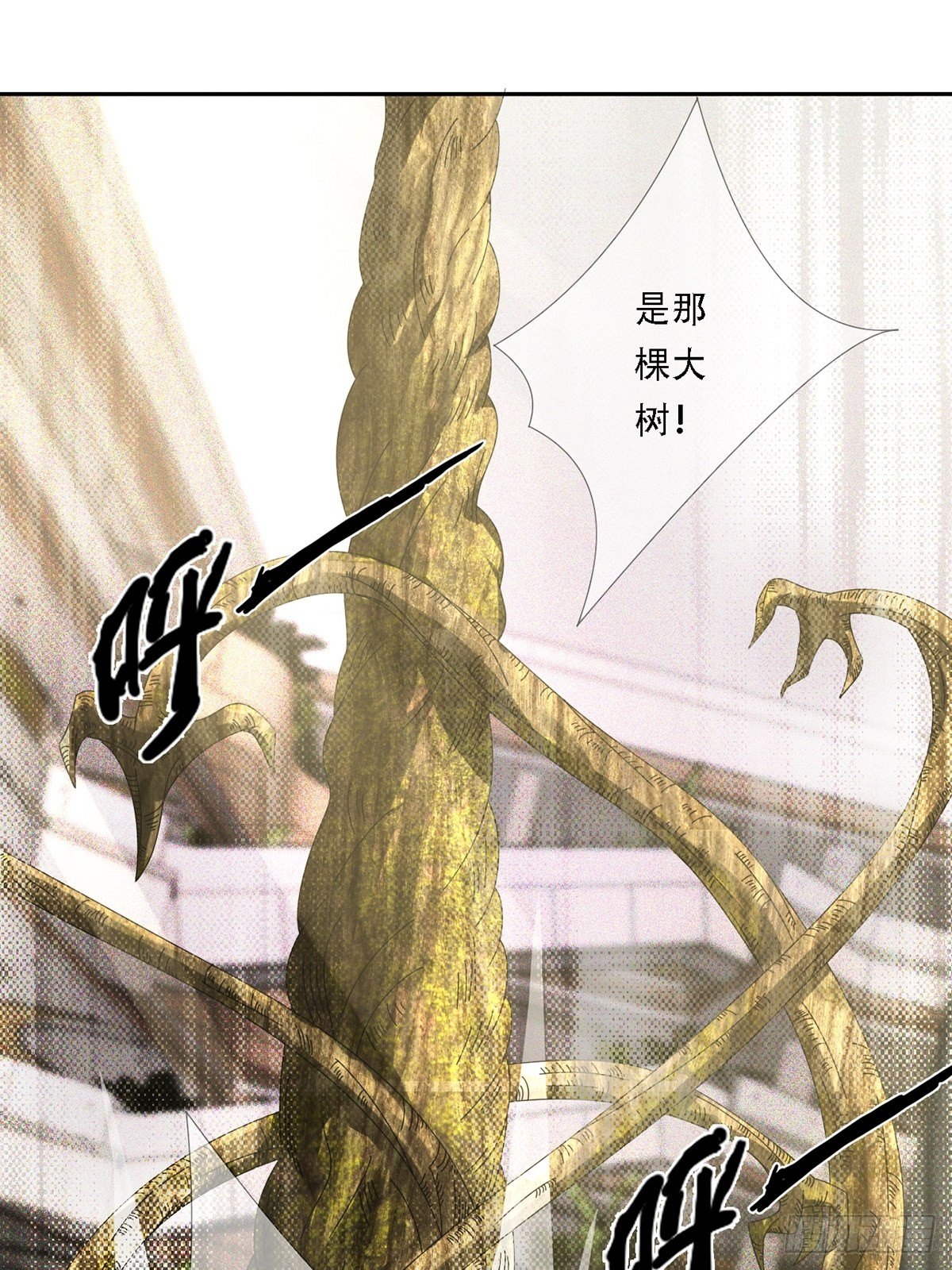 0023 签证6