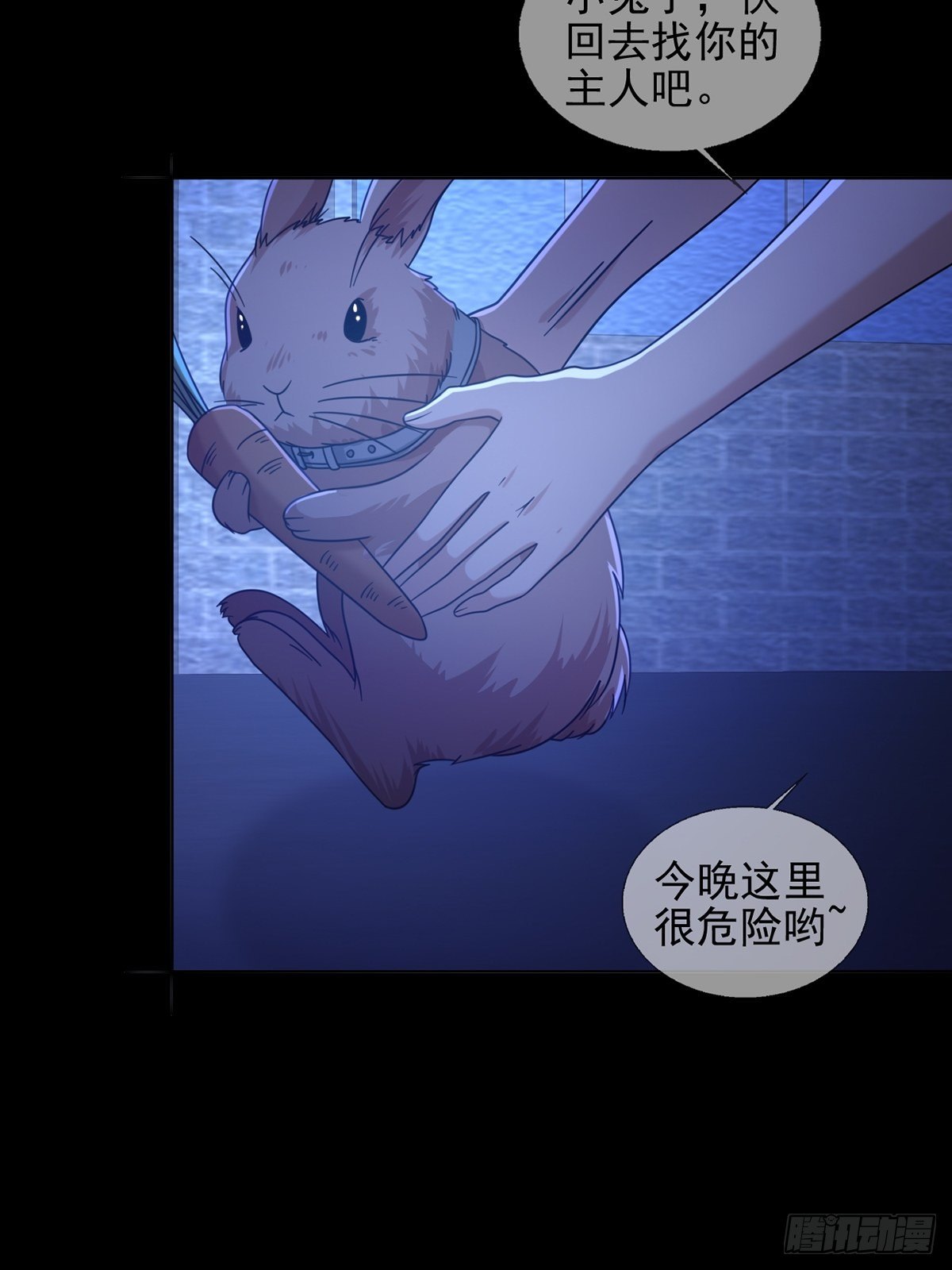 068 哪里来的兔子37