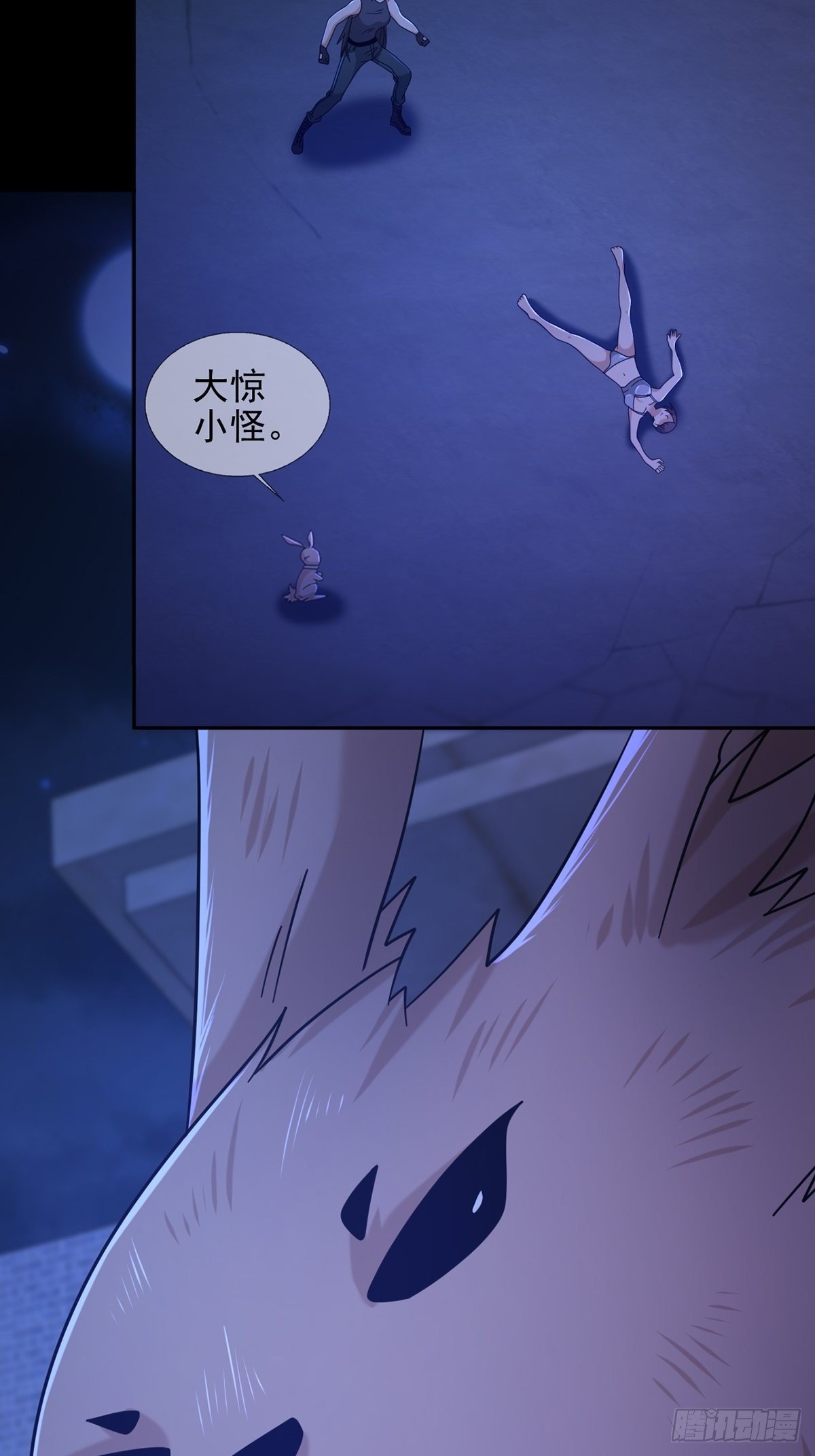 074 兔子干部25