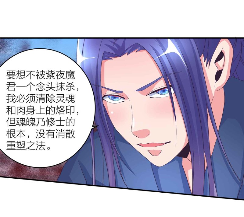 第111话 褚烬离的真实计划10