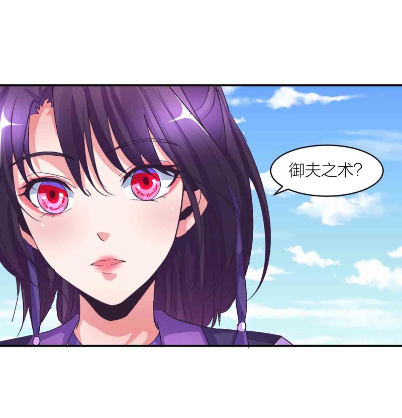 第148话 御夫之术15