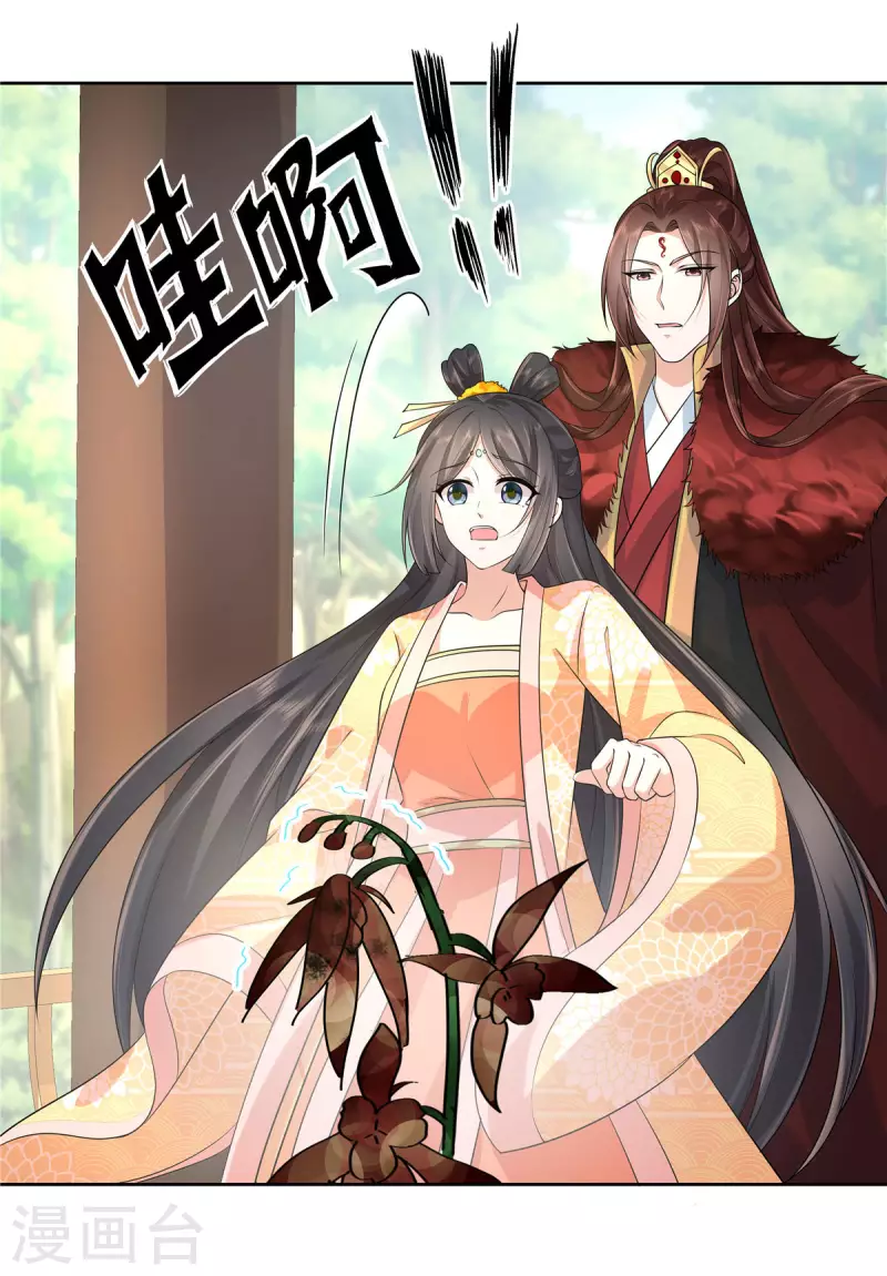 第31话 这算定情信物吗？19