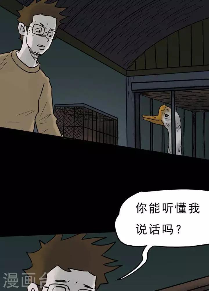 第52话24