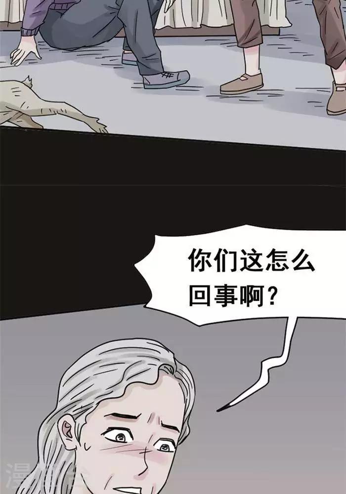第113话 替身224