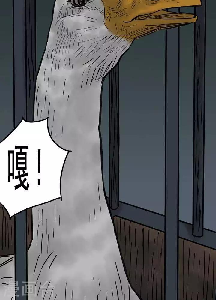 第52话13