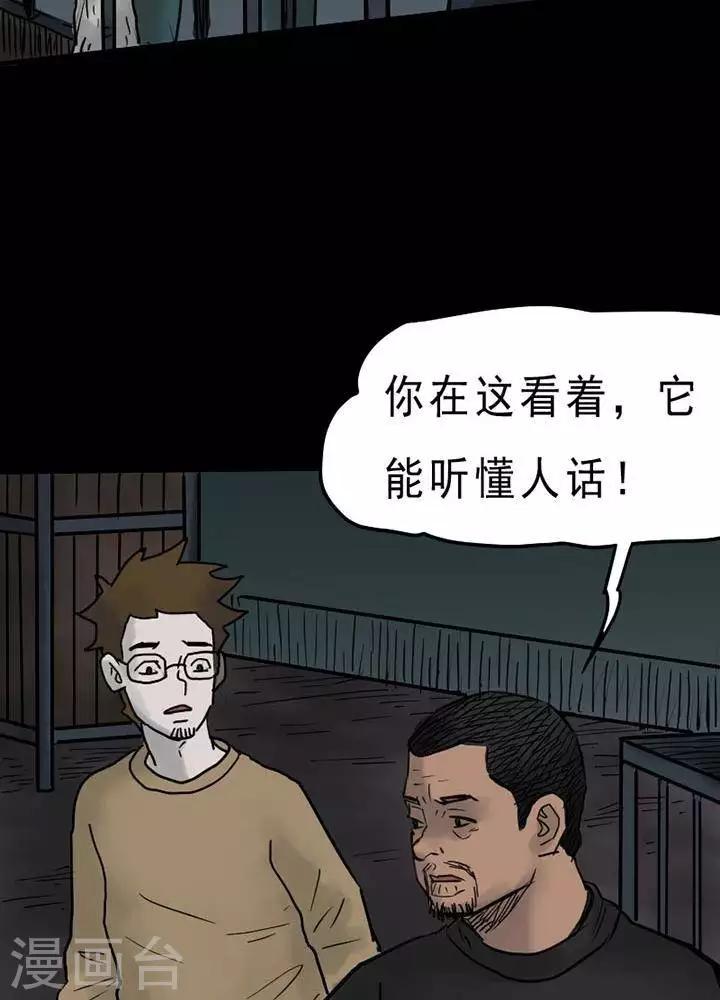 第52话21