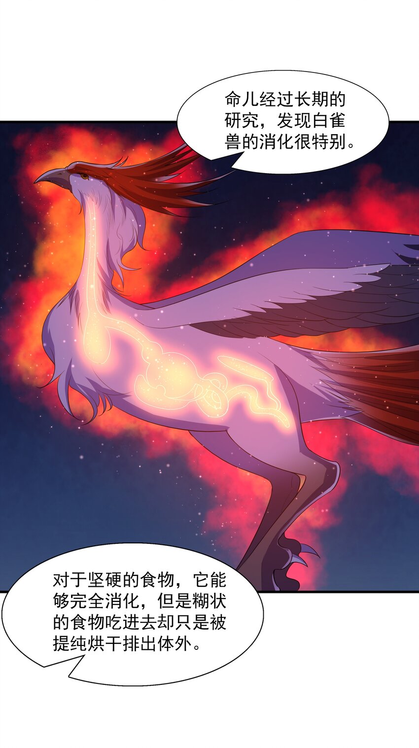 003 爆炎丹25