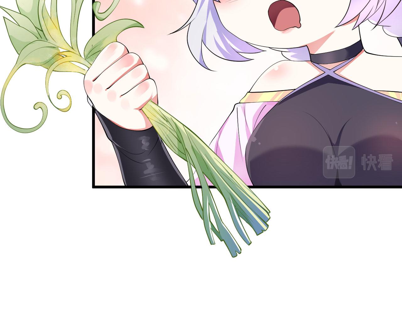 18 虎心草17