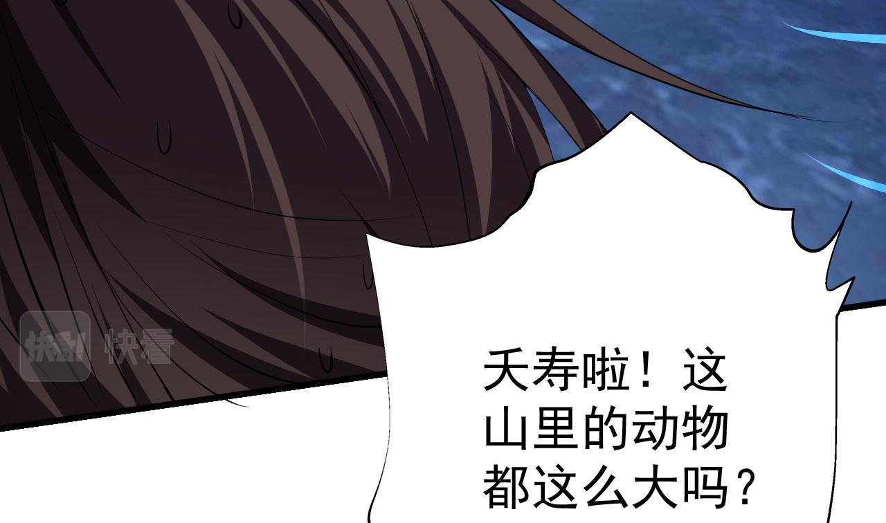 18 虎心草127