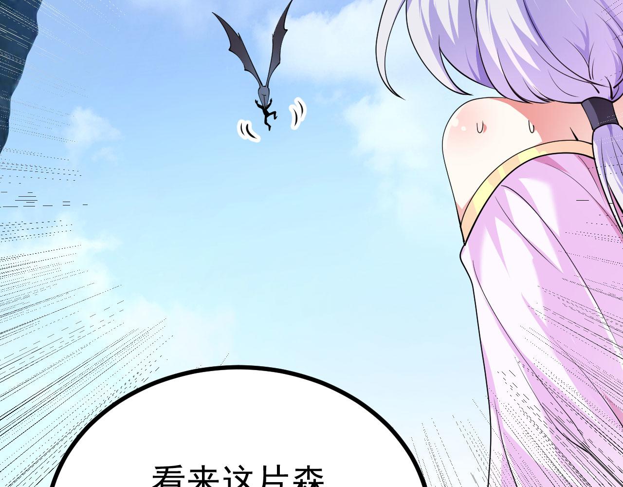 18 虎心草100