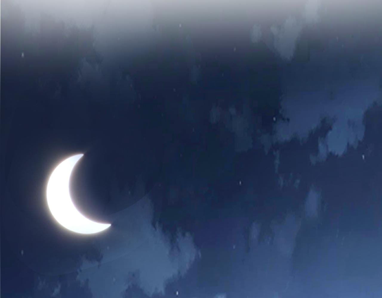 05 深山萌兽27