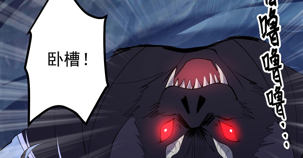 18 虎心草87