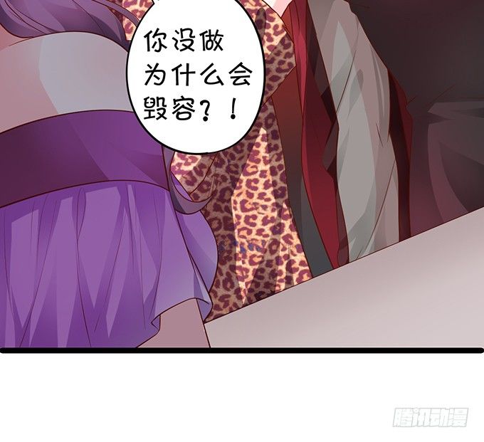 楚颜，这次我让你一败涂地！14