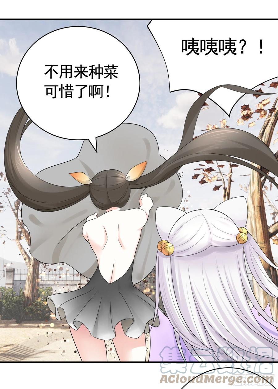 姑娘们来种田30