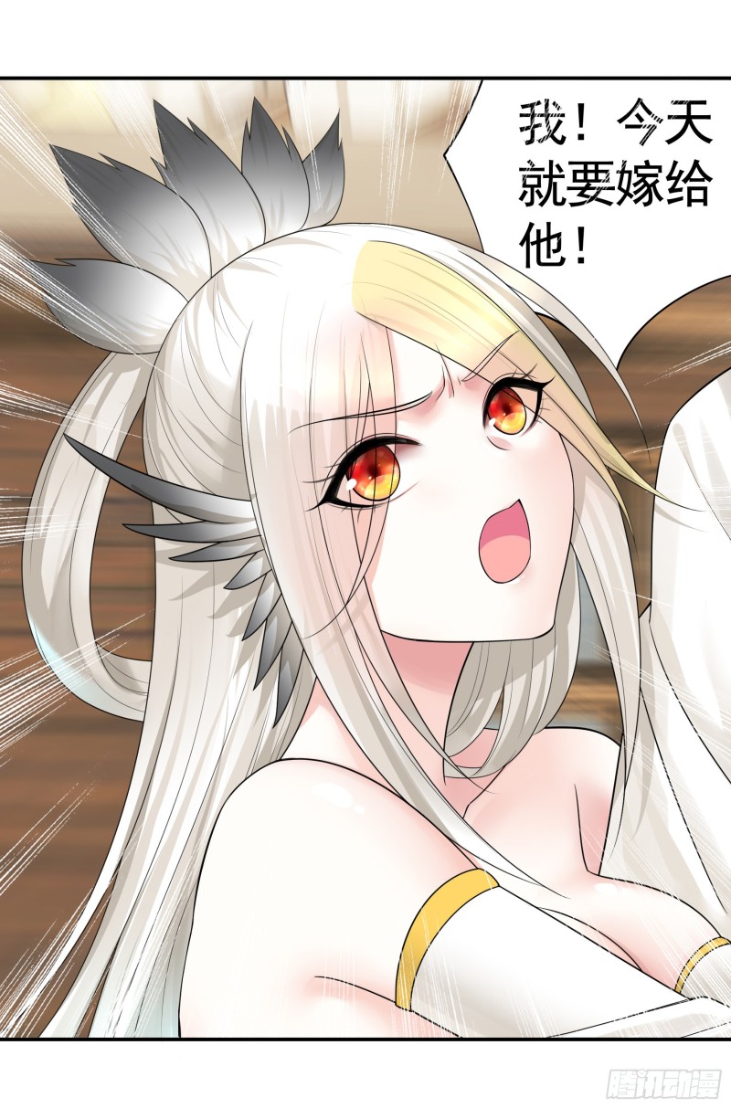 十年白菜被渣龙啃了5