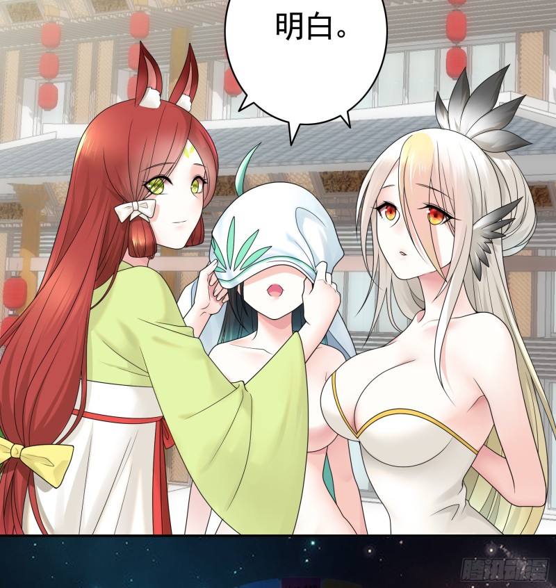 浪哥参战7