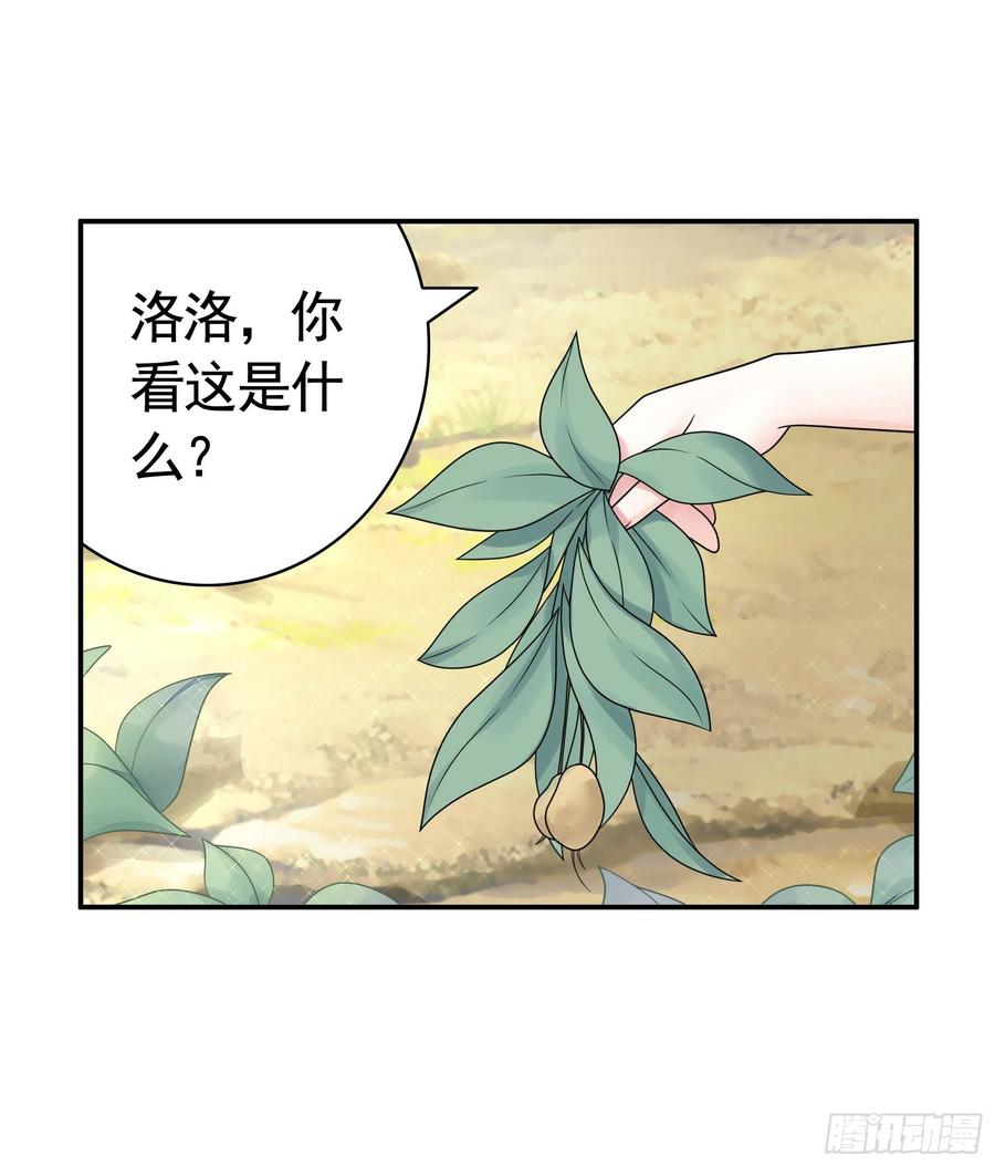 喂公主鸡血22