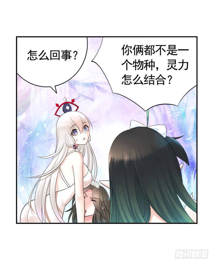 何为双修24