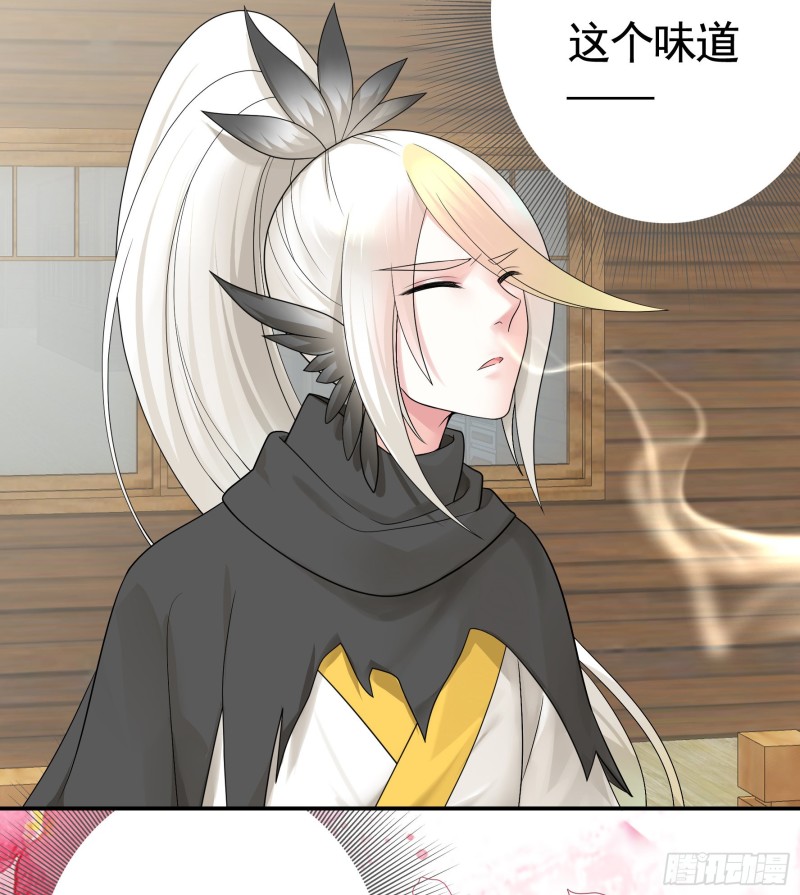 十年白菜被渣龙啃了20